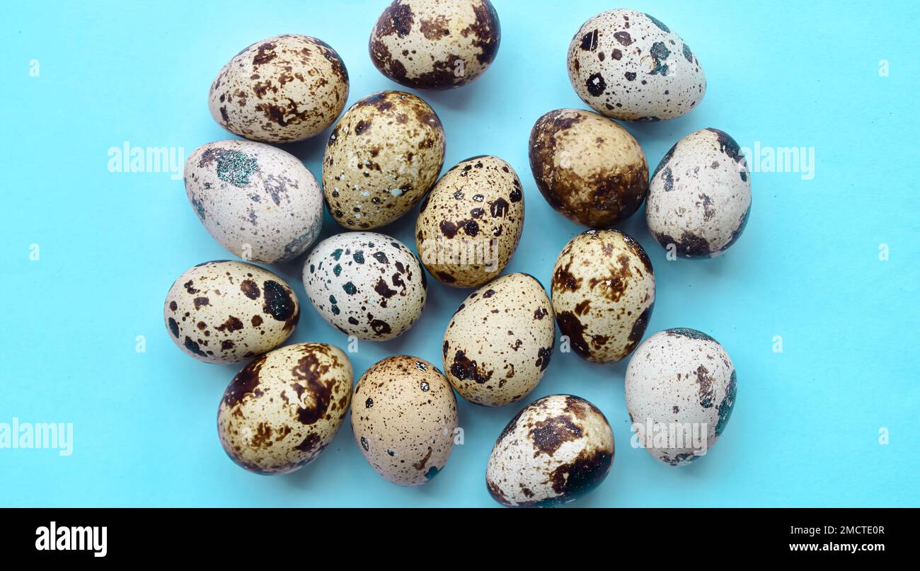 Top view of raw quail eggs. High protein rich food Stock Photo Alamy