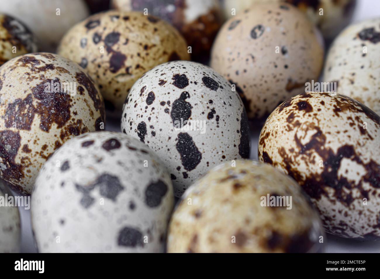 Closeup view of raw quail eggs. High protein rich food Stock Photo Alamy