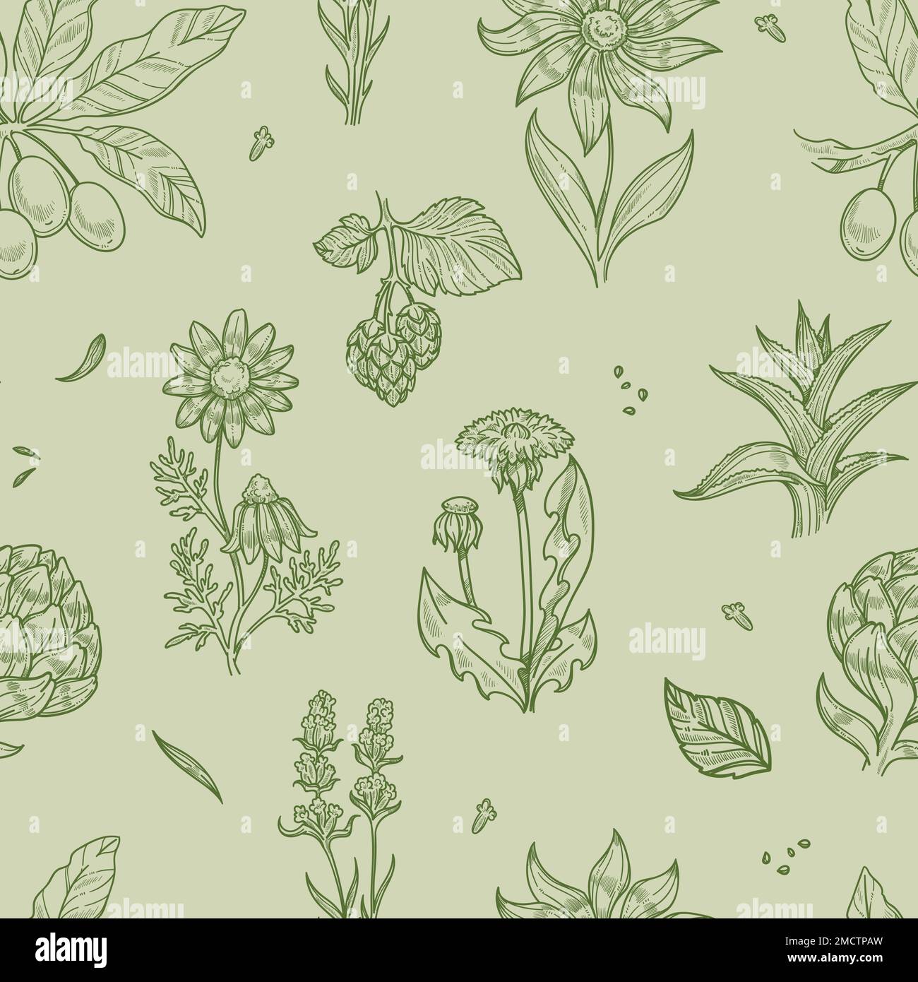 Wild flowers and plants seamless pattern medical herbs Stock Vector ...