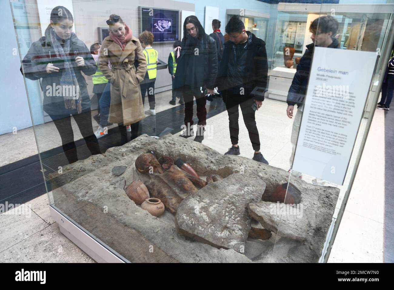 Visitors study the mummified remains of the Gebelein man from the predynastic period at the British Museum, London, UK Stock Photo