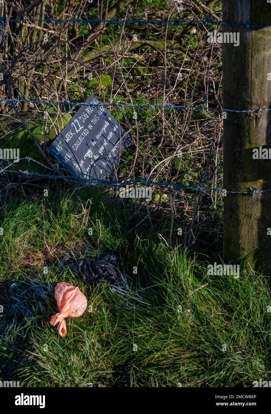 Brighton UK 22nd January 2023 - Dog walkers ignore a sign asking them not to leave dog poo bags at Devils Dyke along the South Downs Way near Brighton : Credit Simon Dack / Alamy Live News Stock Photo