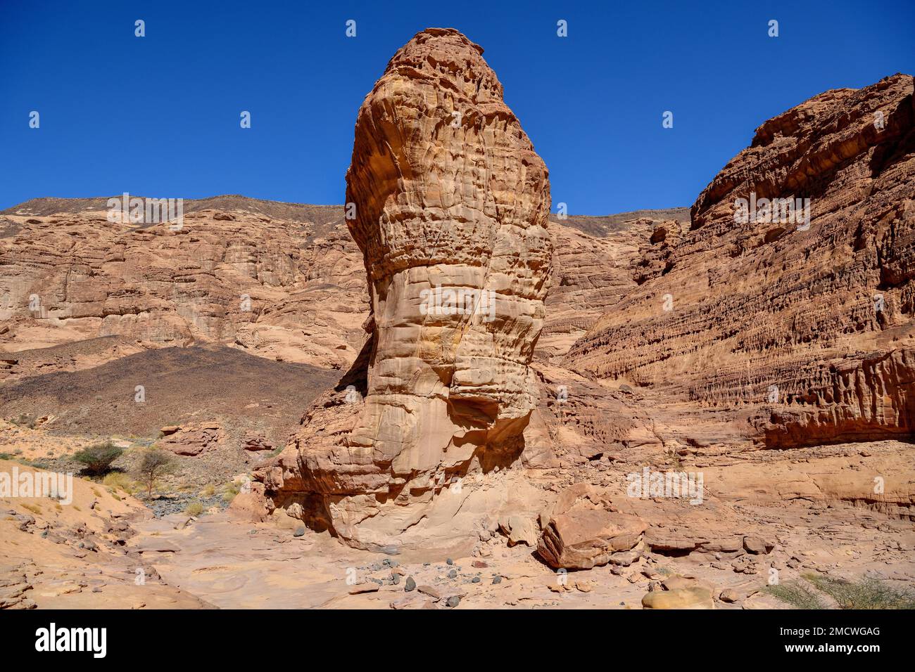Landscape in Wadi Abu Oud, near AlUla, Medina Province, Saudi Arabia