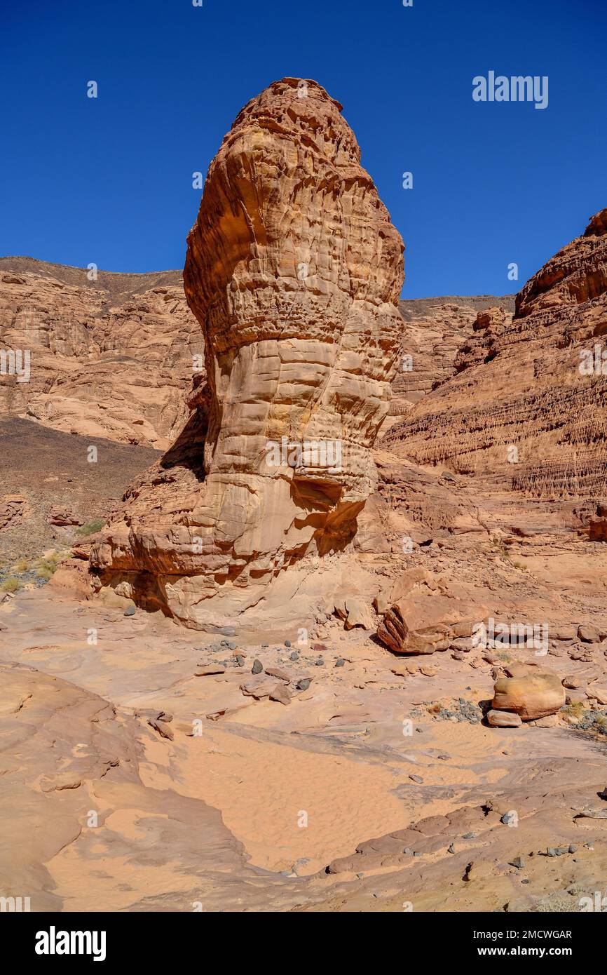 Landscape in Wadi Abu Oud, near AlUla, Medina Province, Saudi Arabia