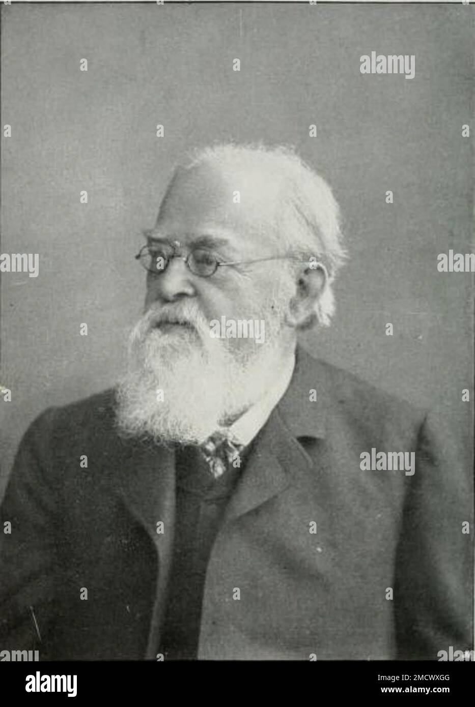 Karl Heinrich Ritthausen Stock Photo Alamy