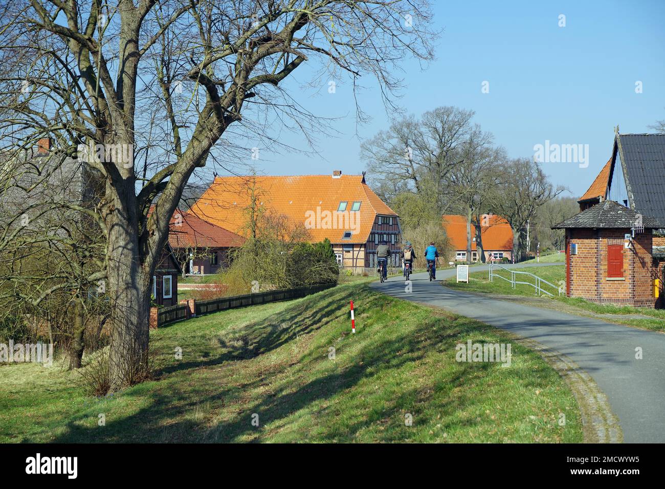 Cyclist on the dike in front of the house and the Elbe, Damnatz, Wendland, Lower Saxony Stock Photo