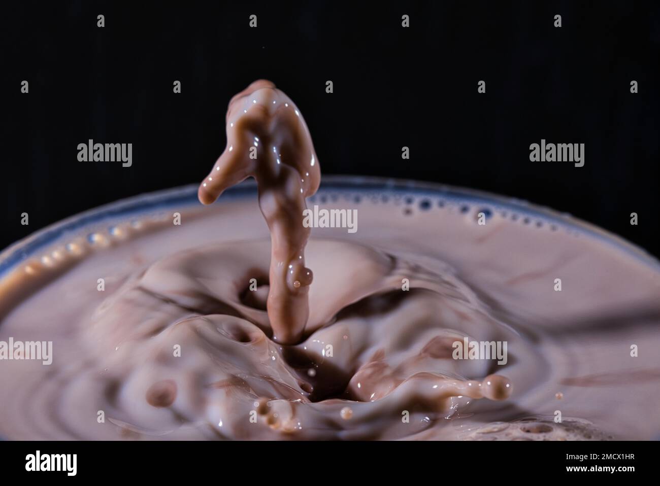 Drop photography with milk and cocoa, seahorse figure, high-speed shot Stock Photo