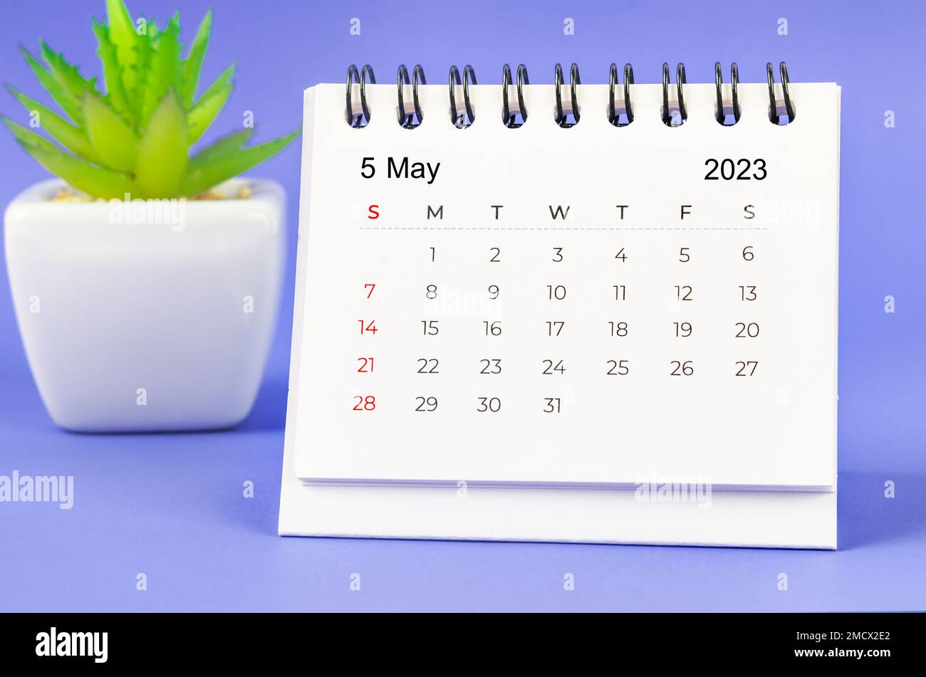 May 2023 Monthly desk calendar for 2023 year on purple background Stock