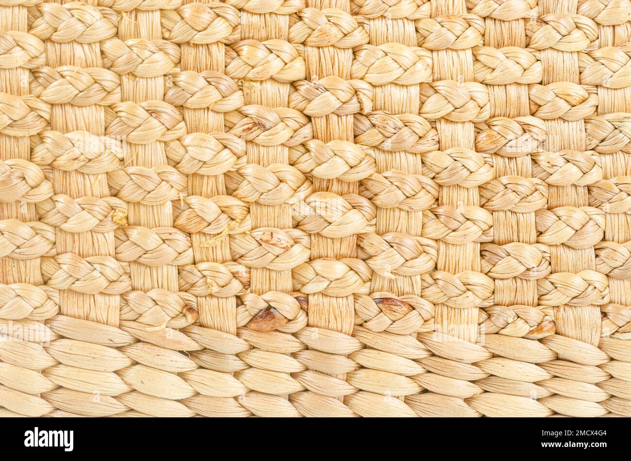 Basketry of water hyacinth ( Eichhornia crassipes ) pattern of weave of