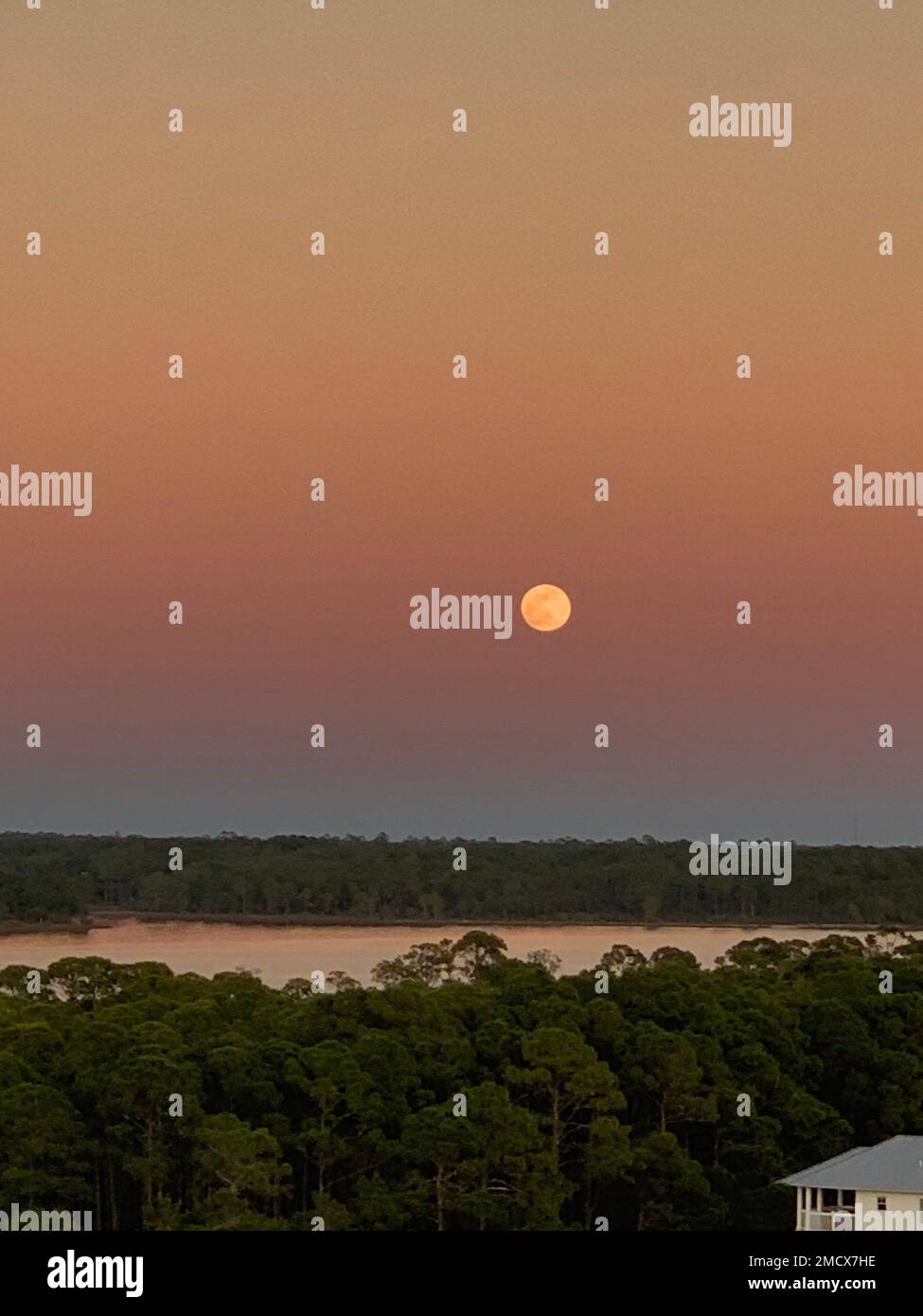 A vertical shot of a lake surrounded by dense trees with a sunset on ...