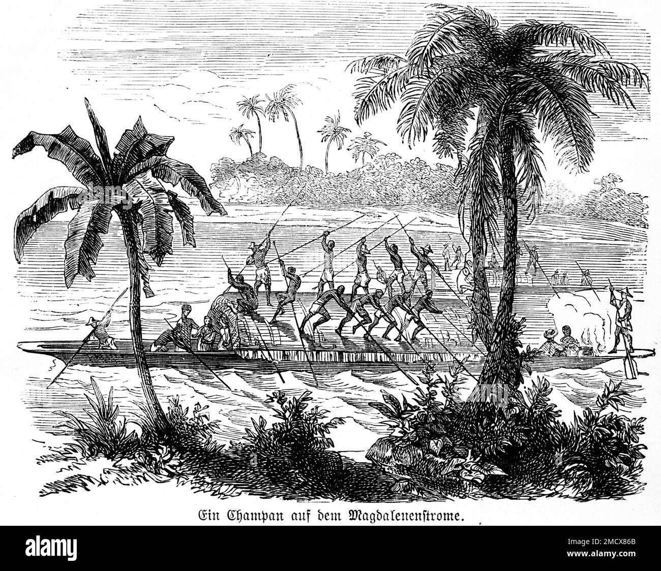 Early Human Rowing Raft Champan, raft, Magdalena Current, natives, rowing, current, waves, palm ...