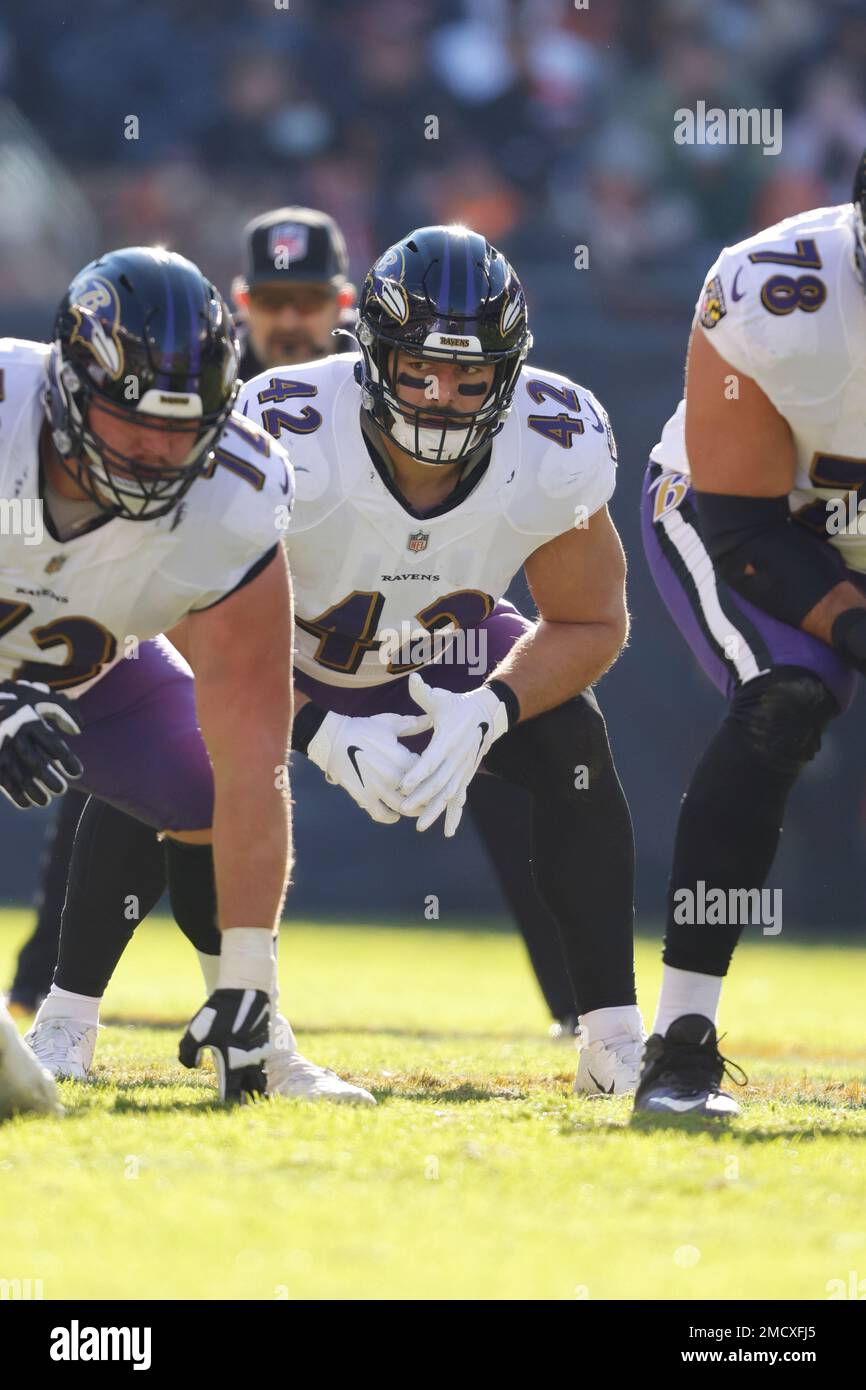 Baltimore Ravens fullback Patrick Ricard (42) in action during the second  half of an NFL football game against the Denver Broncos, Sunday, Dec. 4,  2022, in Baltimore. (AP Photo/Nick Wass Stock Photo - Alamy