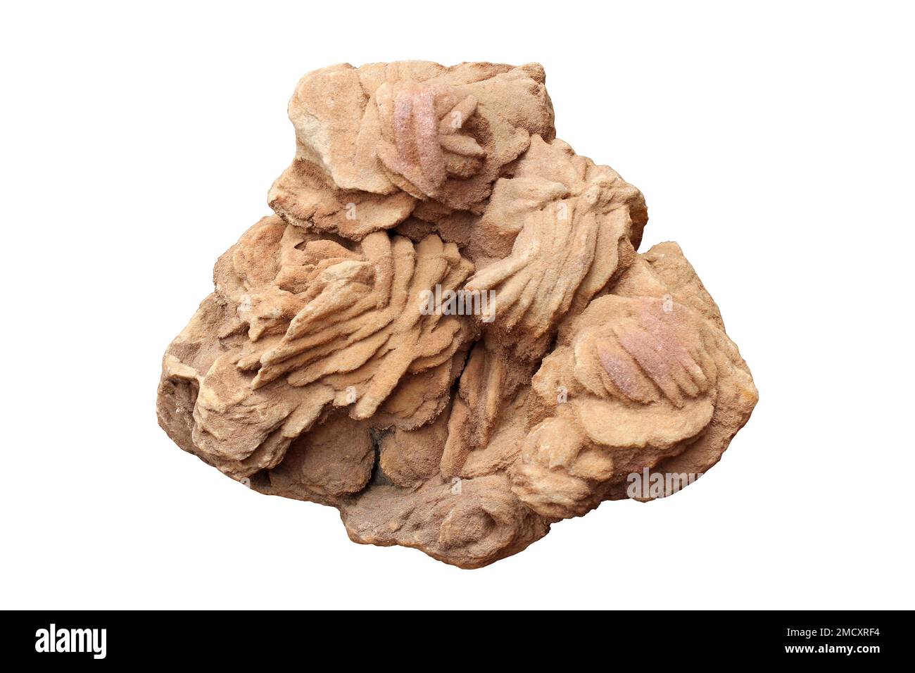 Desert Rose - Jordan Stock Photo