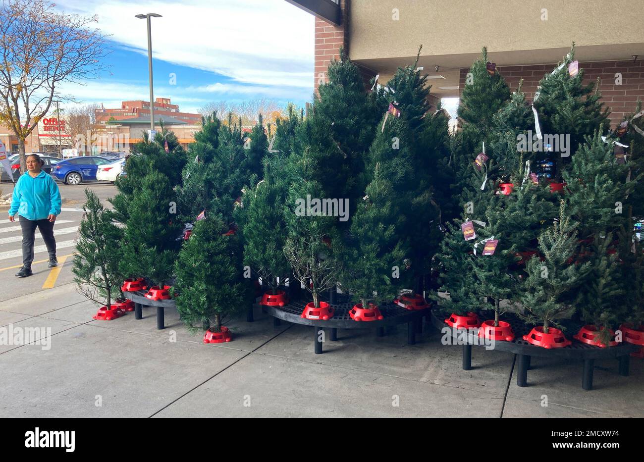 A shopper passes by a display of Christmas trees outside the main entrance to a grocery store