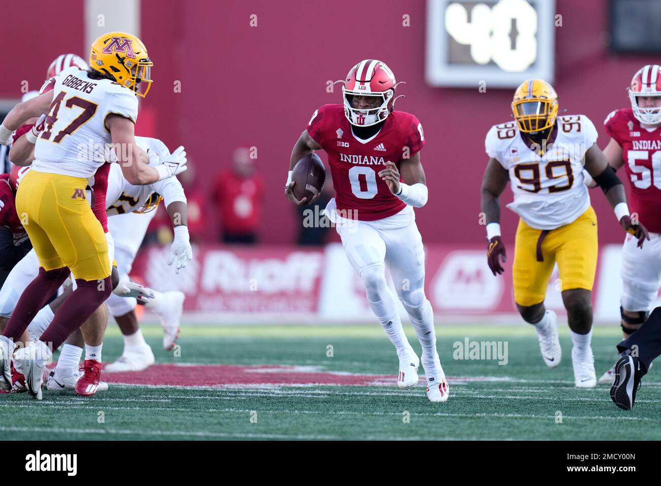Indiana quarterback donaven mcculley in action during an ncaa college football game between minnesota and indiana in blooming Indiana quarterback donaven mcculley in action during an ncaa college football game between minnesota and indiana in blooming