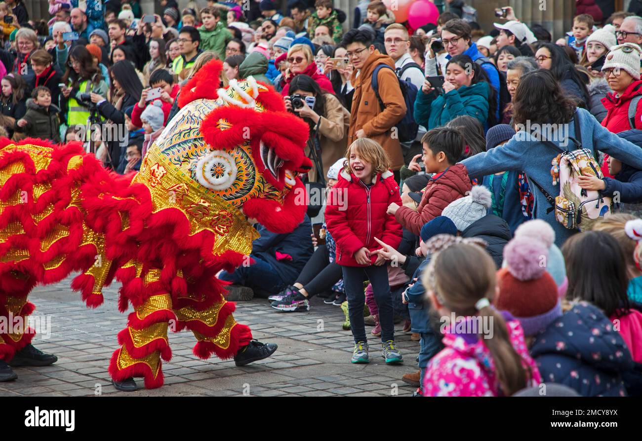 The Mound, Edinburgh, Scotland, UK. 22nd January 2023. Edinburgh city marks the Year of the Rabbit as the Chinese New Year launches today across the world. Pictured: Children in the audience interact with the giant Lion puppets. Credit: Arch White/alamy live news. Stock Photo