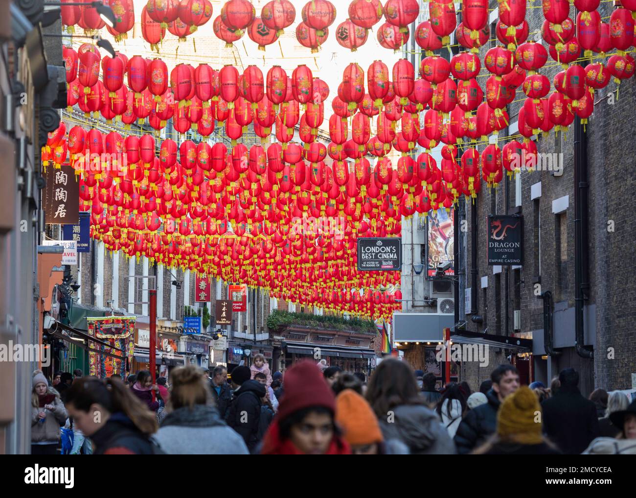 celebrating chinese new year video