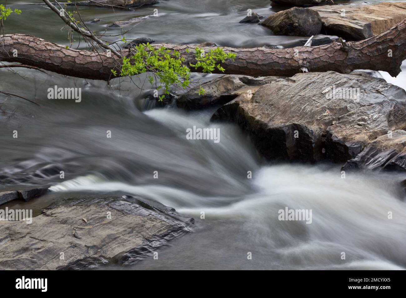 A beautiful view of a river water flowing from the stones Stock Photo ...