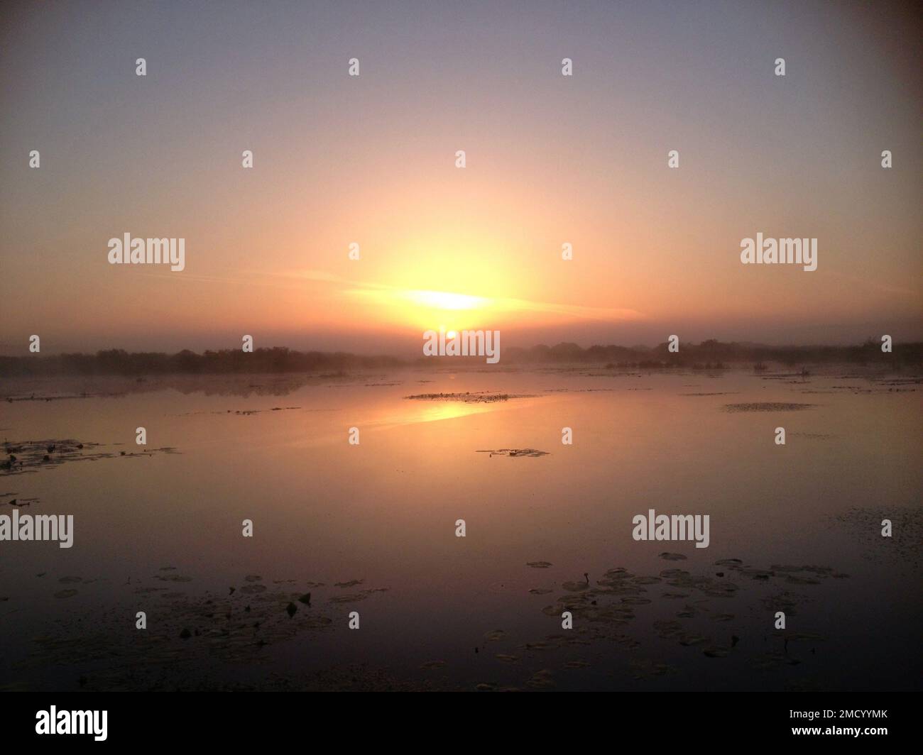 A scenic golden sunset sky reflecting in the lake surface Stock Photo ...