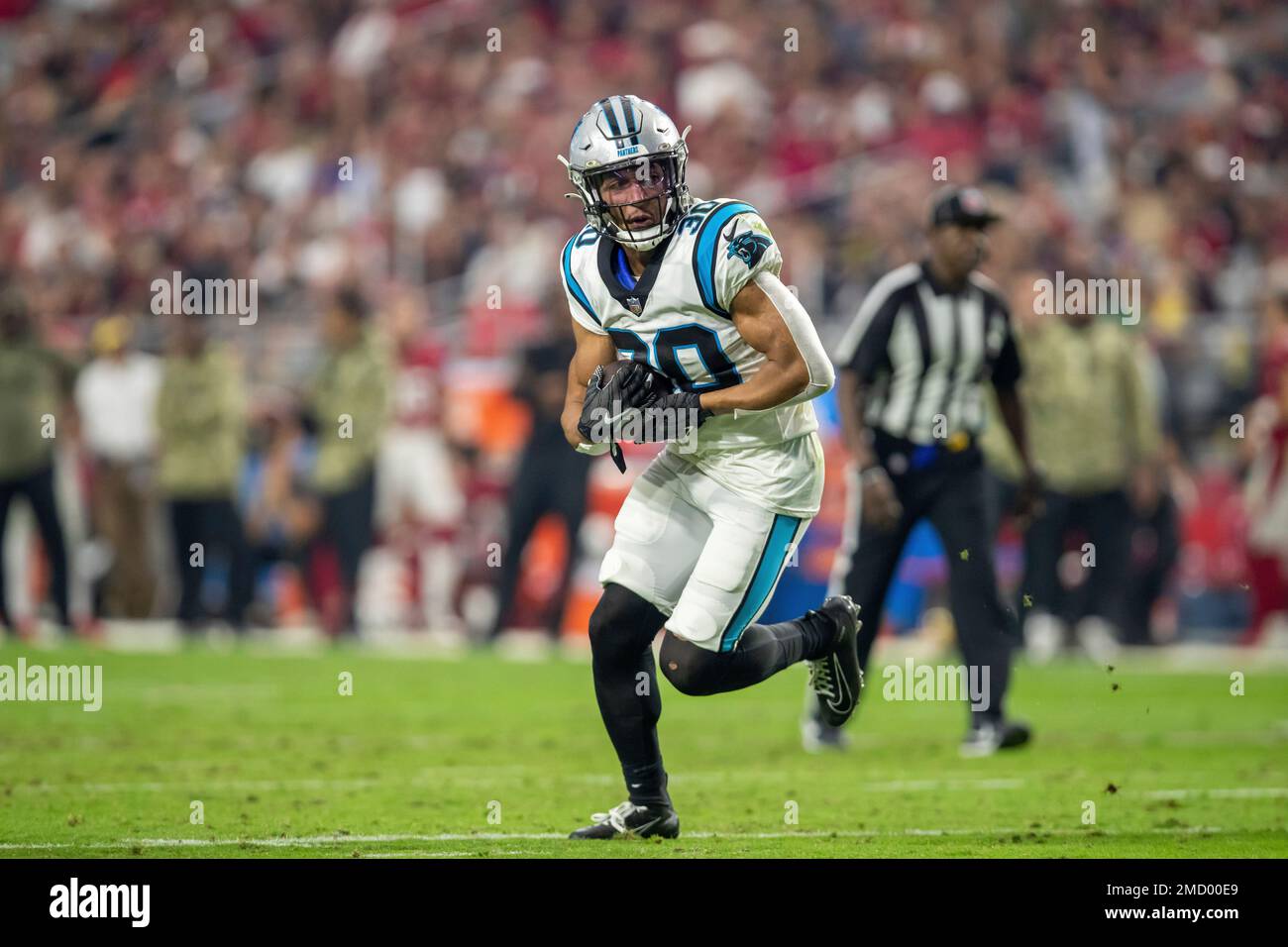 PHOTOS: Game action shots from Panthers-Cardinals