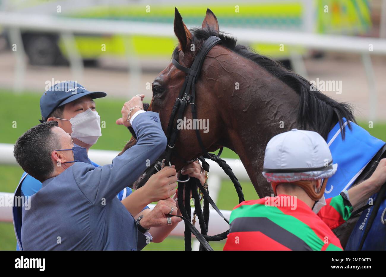 Scmp Racing Race 6, RUSSIAN EMPEROR, ridden by Blake Shinn, won THE STANDARD ...