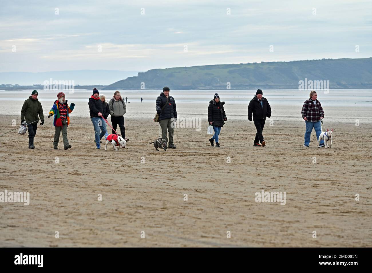 Weston Super Mare, UK. 22nd Jan, 2023. On a cold and dry afternoon a