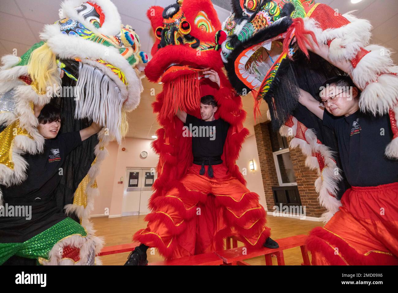 Members of the World Eagle Claw Association UK Lion Dance Team rehearse ahead of Chinese New Year celebrations in their local community hall, England. Stock Photo