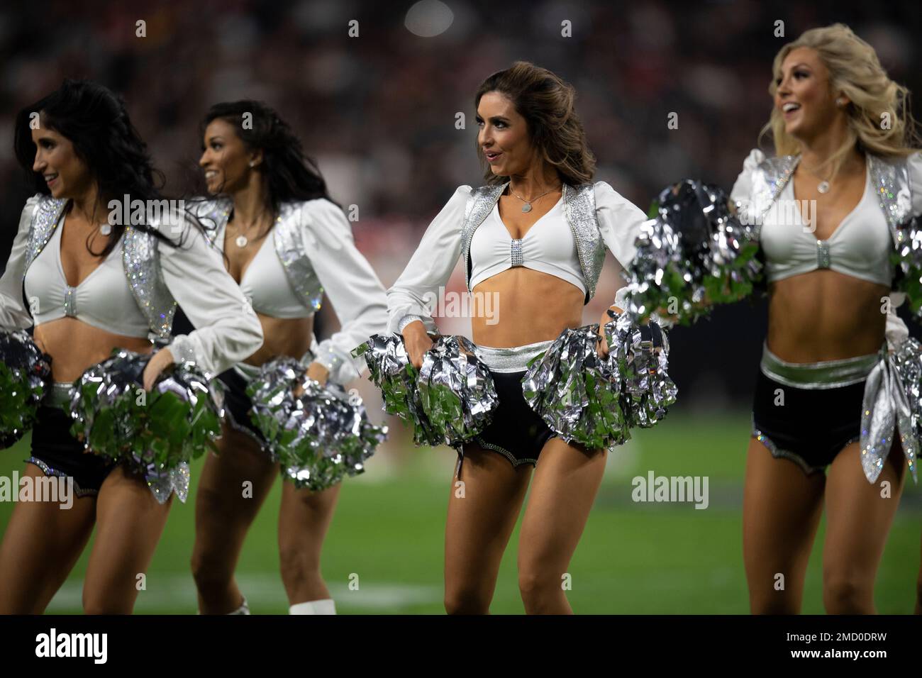 Las Vegas Raiders Cheerleaders Calendar 2025 - Lissa Phillis