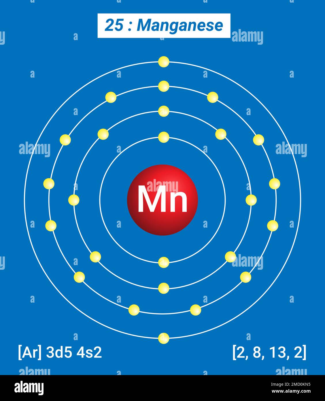 My Image 6