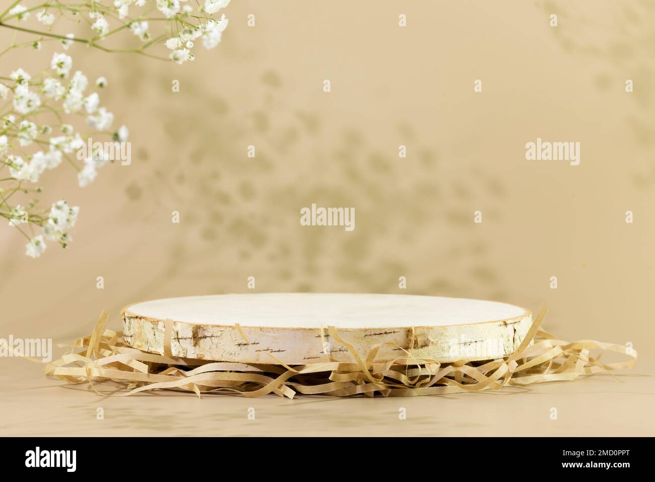 Wooden empty podium on natural beige background with white flowers and shadows. Round show case for natural cosmetic products. Concept scene stage for Stock Photo