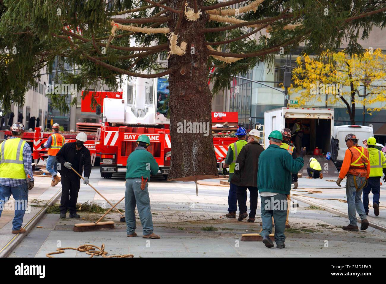 The 79foot tall Rockefeller Center Christmas Tree that arrived from