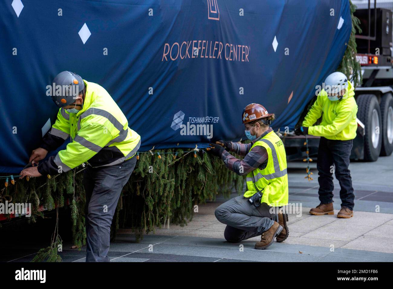 The 79foot tall Rockefeller Center Christmas Tree that arrived from
