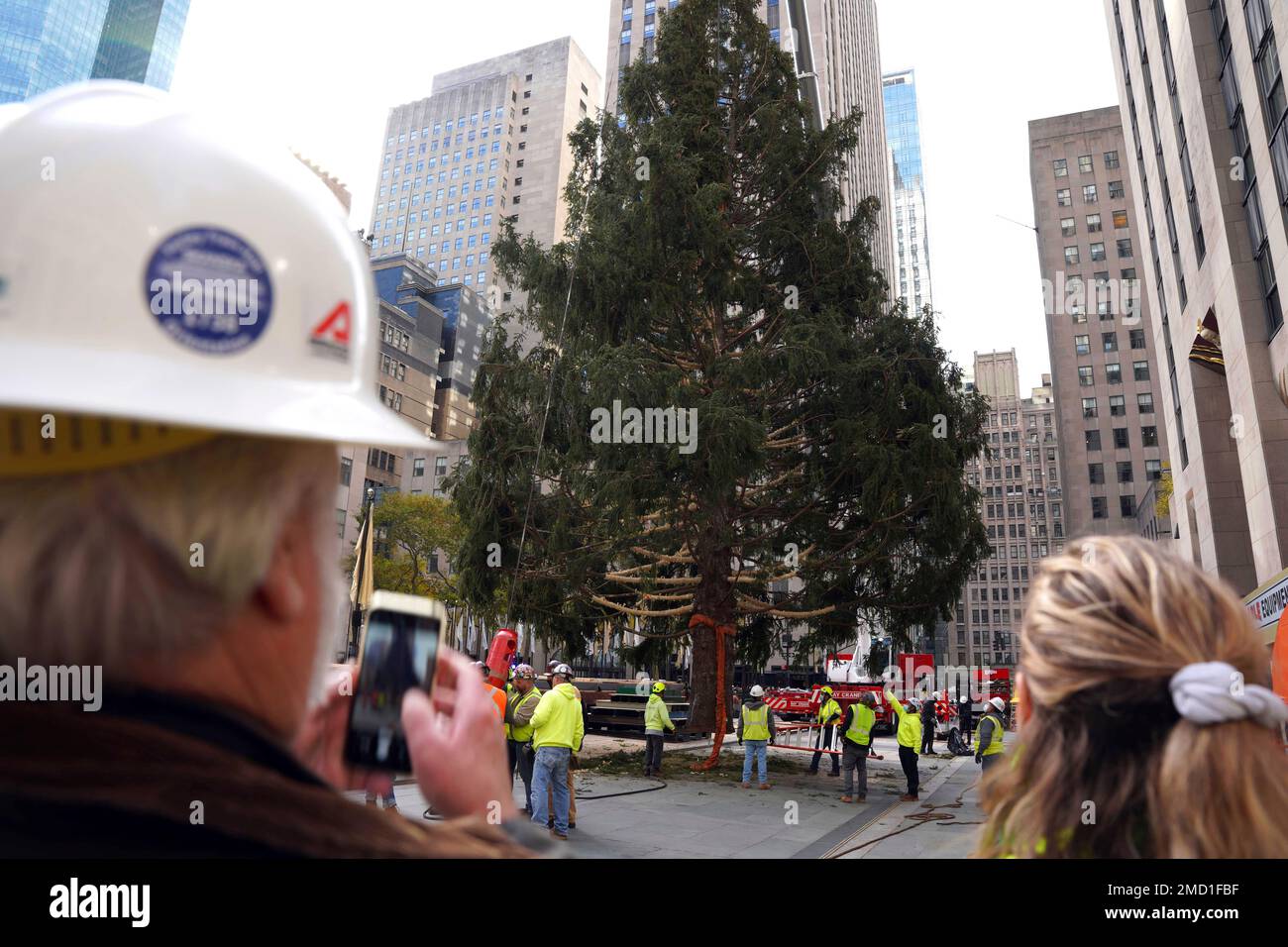 The 79foot tall Rockefeller Center Christmas Tree that arrived from