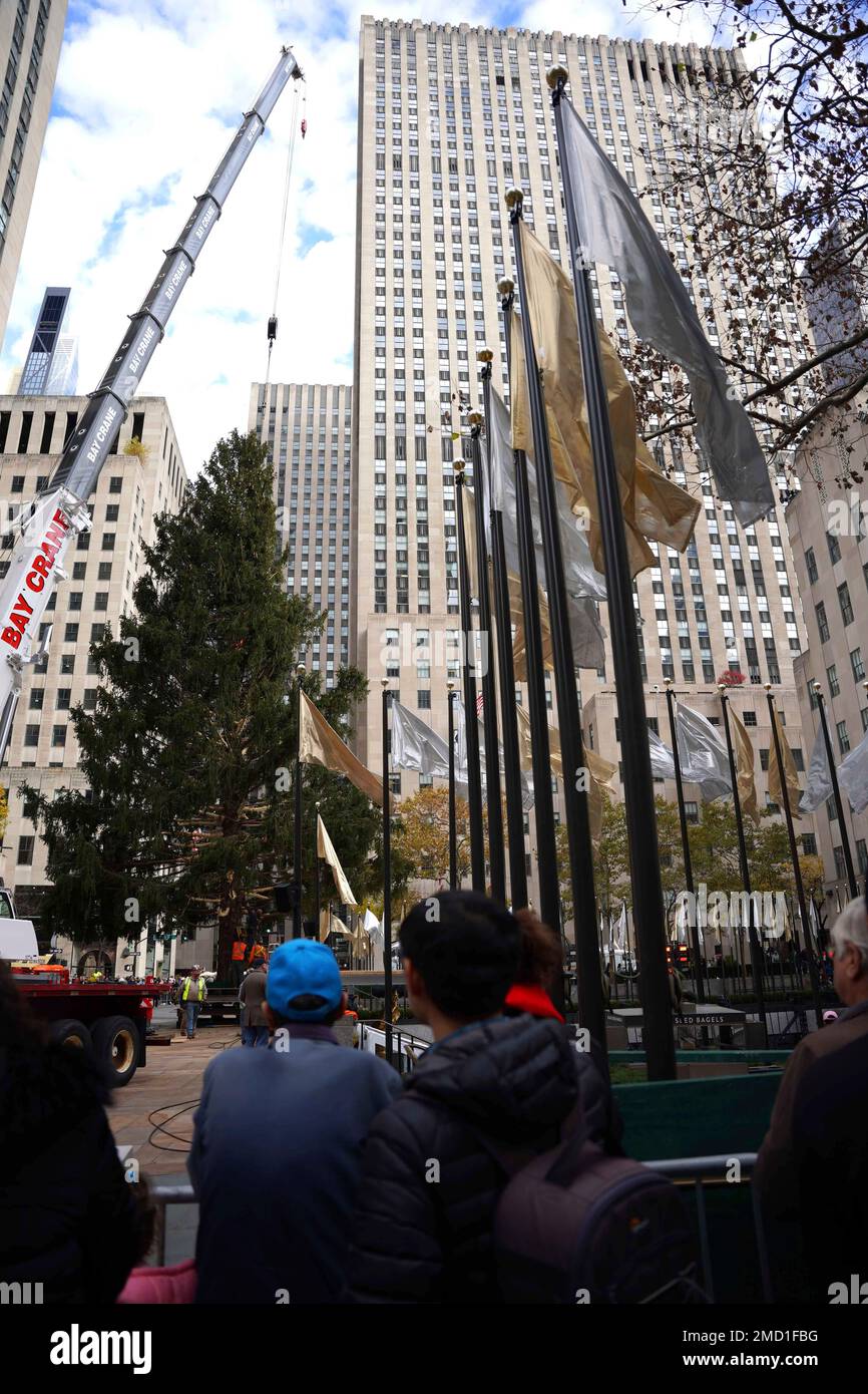 The 79foot tall Rockefeller Center Christmas Tree from Elkton, Md