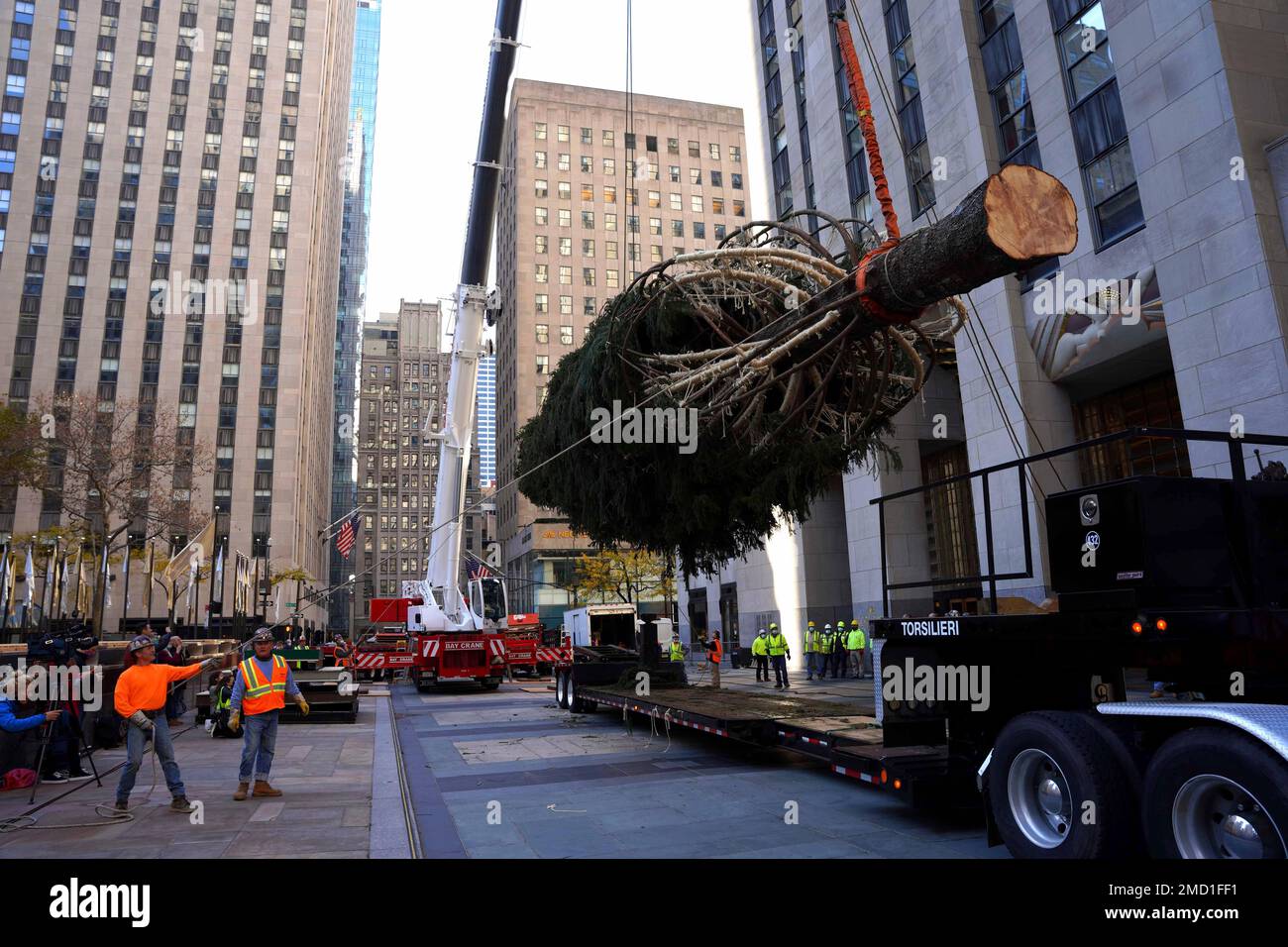 The 79foot tall Rockefeller Center Christmas Tree arrives from Elkton