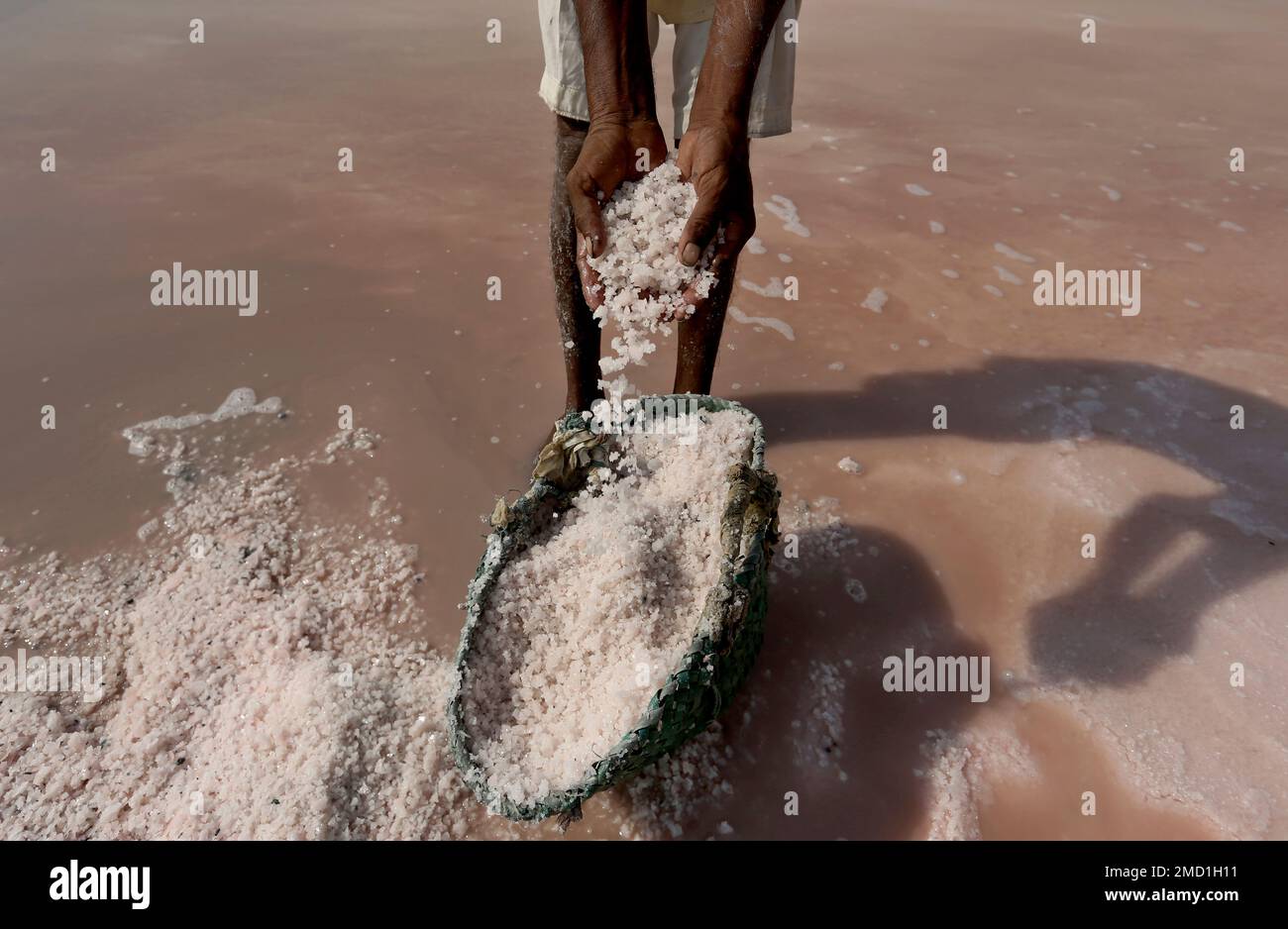 A laborer collects sea salt at a coastal area near Karachi, Pakistan