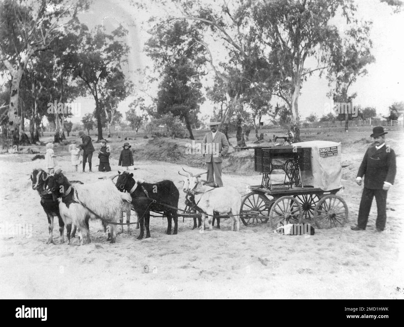 Travelling salesmen with a small wagon and a team of goats demonstrate the Singer sewing machine. Charleville, Queensland, Australia - 1900-1910 Stock Photo