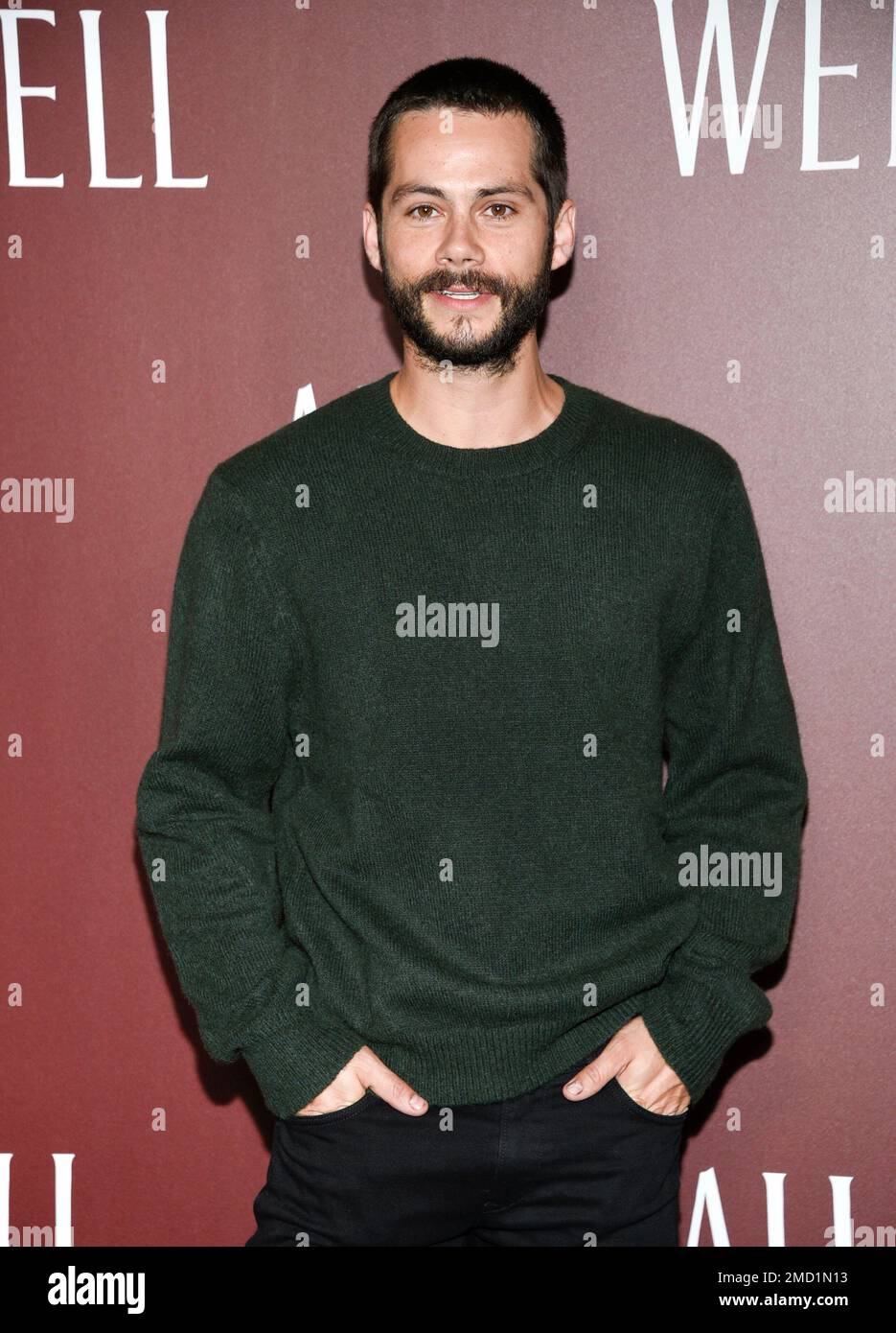 Dylan O'Brien attends a premiere for the short film "All Too Well" at
