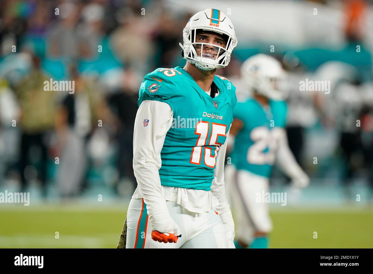 Miami Dolphins outside linebacker Jaelan Phillips (15) warms up before an  NFL football game against the New York Jets, Sunday, Dec. 19, 2021, in Miami  Gardens, Fla. (AP Photo/Wilfredo Lee Stock Photo - Alamy