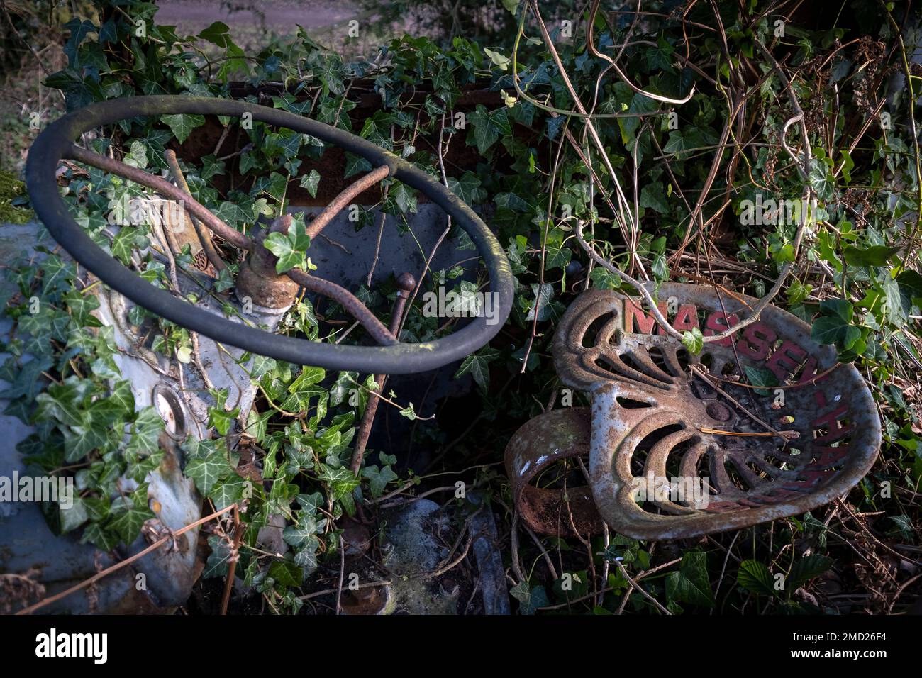 Cab Detail, Abandoned Massey Harris Tractor Overgrown with Vegetation, Peckforton, Cheshire, England, UK Stock Photo