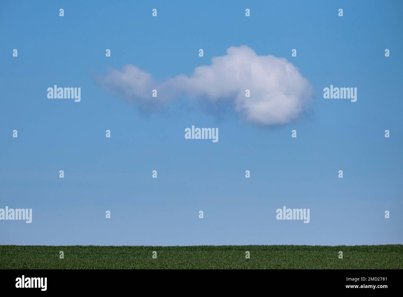 Single White Cumulus Cloud in a clear blue sky above a Field of Grass, Cheshire, England, UK Stock Photo