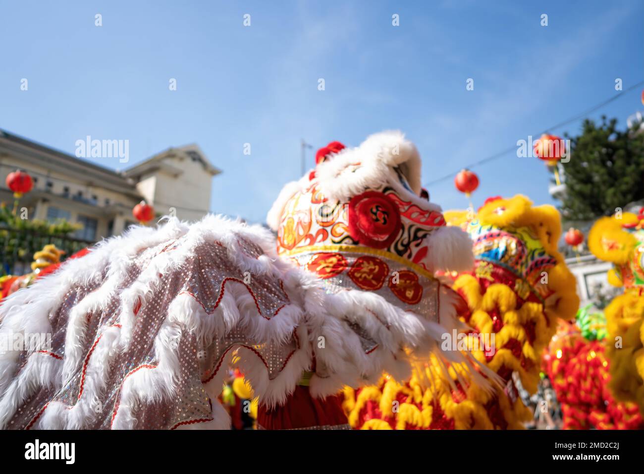 Dragon and lion dance show in chinese new year festival (Tet festival ), lion Dance - dragon and lion dance street performances in Vietnam. Holidays a Stock Photo