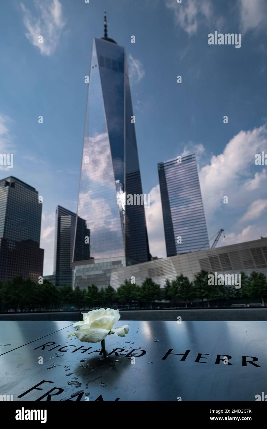 Birthday White Rose Tribute on Nameplate at The One World Trade Center and Ground Zero Memorial, Manhattan, New York, USA There is a tradition of ador Stock Photo