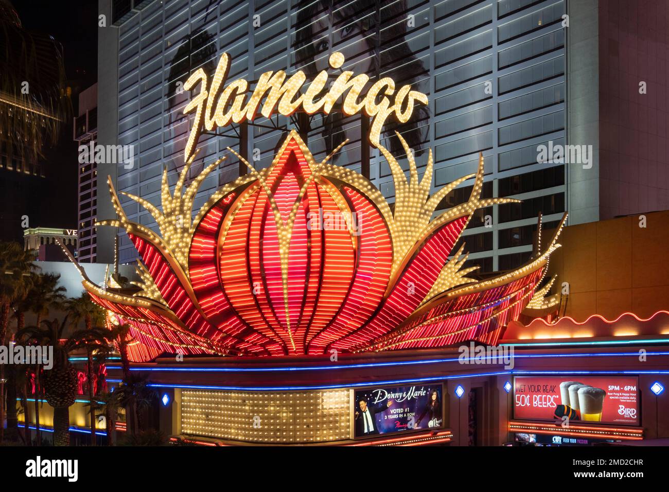 Illuminated Sign on the exterior of the Flamingo Hotel at night, Las Vegas, Nevada, USA Stock Photo
