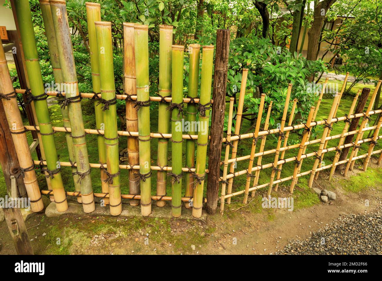 Japanese garden Bamboo fence green and tan Stock Photo Alamy