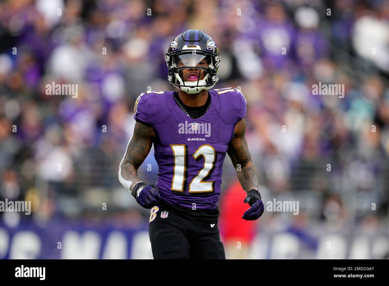 Baltimore Ravens wide receiver Rashod Bateman (12) in action during the  second half of an NFL football game against the Minnesota Vikings, Sunday,  Nov. 7, 2021, in Baltimore. (AP Photo/Nick Wass Stock