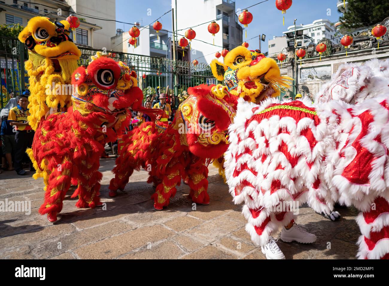 chinese new year 2025 metal horse