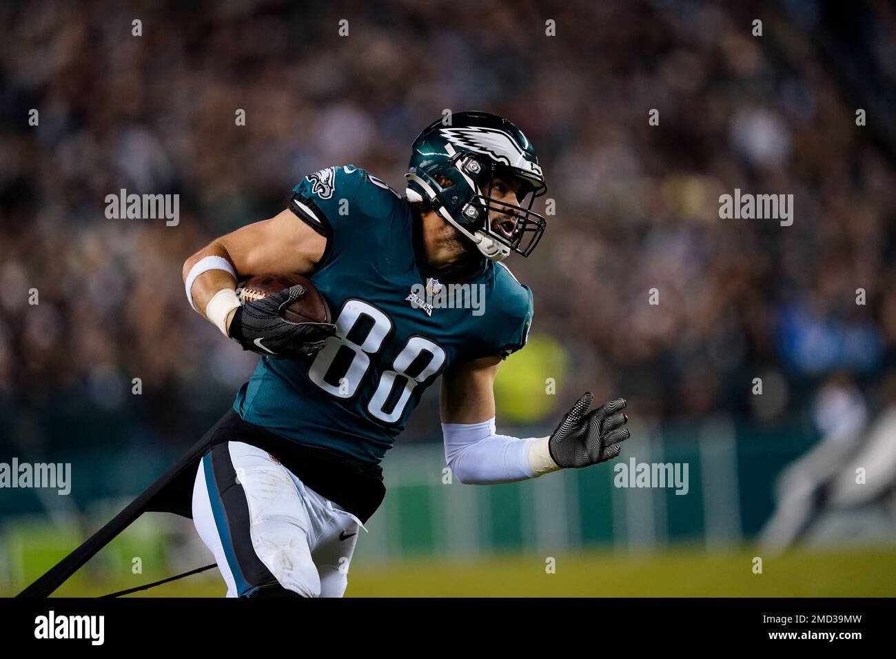 Philadelphia Eagles tight end Dallas Goedert (88) has his jersey ripped  during the second half of an NFL football game against the Los Angeles  Chargers on Sunday, Nov. 7, 2021, in Philadelphia. (