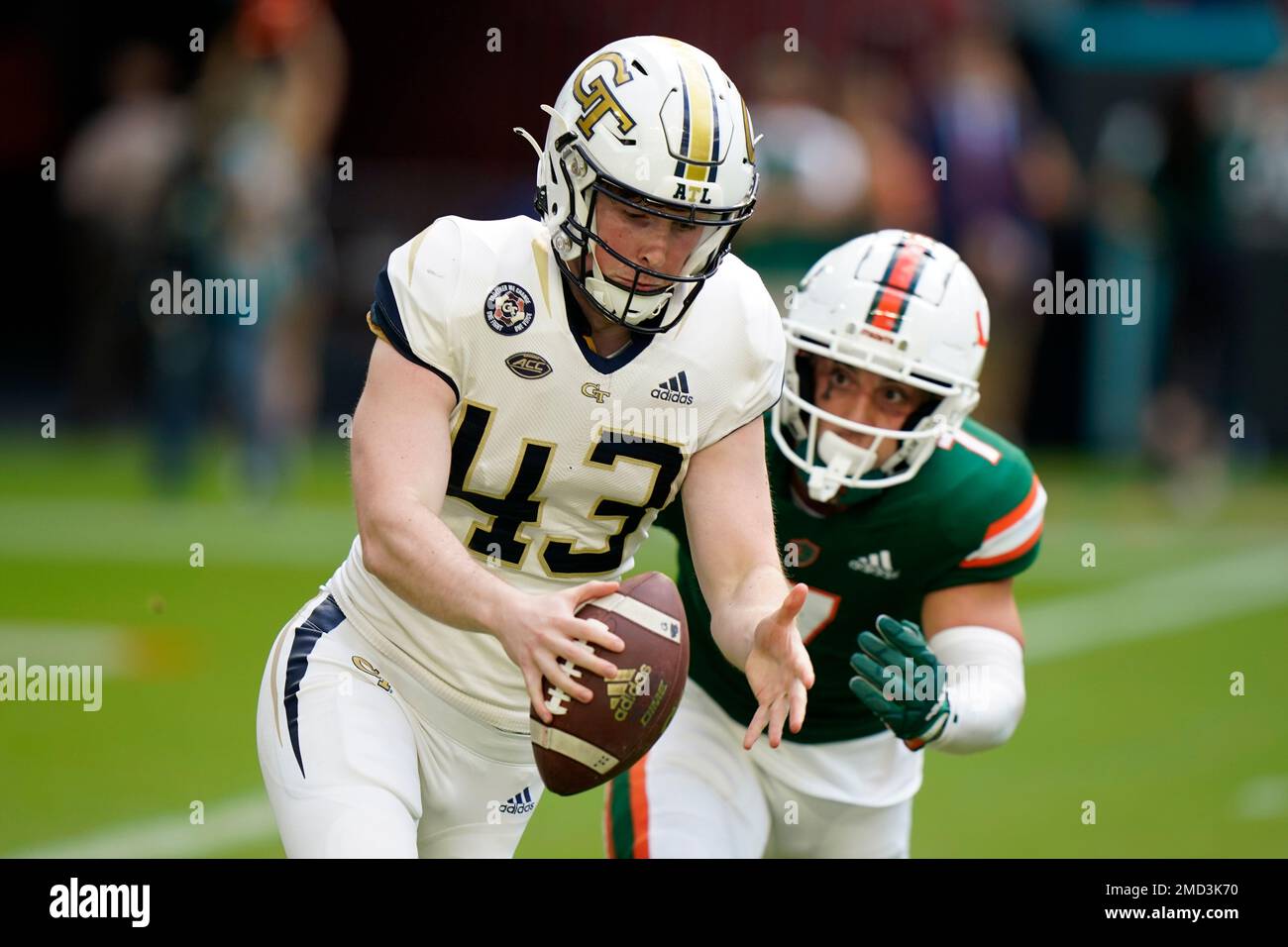 Georgia online tech punter