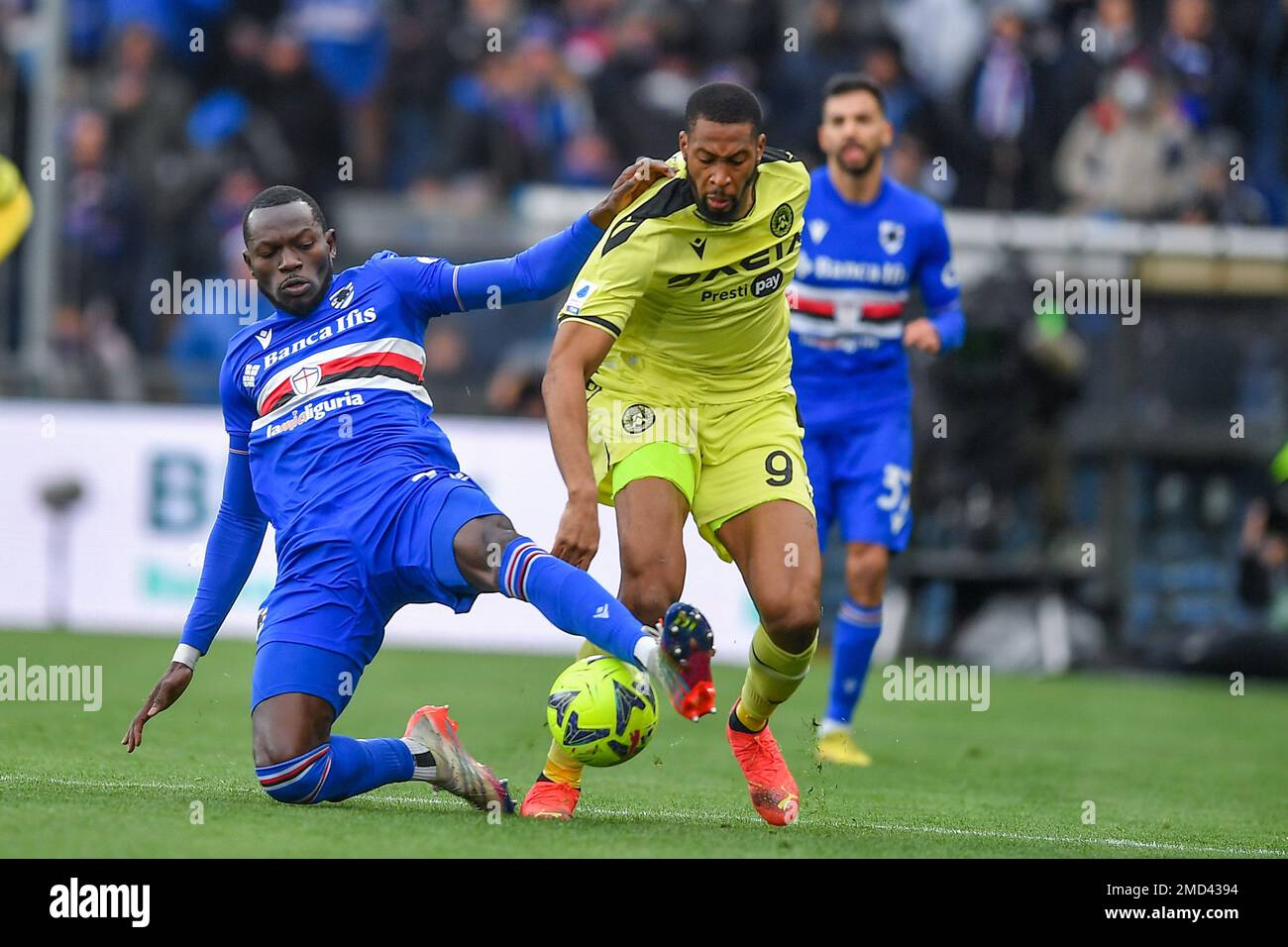 Genova, Italy. 22nd Jan, 2023. Omar Colley (Sampdoria) - Norberto Bercique Gomes Betuncal, detto Beto (Udinese) during UC Sampdoria vs Udinese Calcio, italian soccer Serie A match in Genova, Italy, January 22 2023 Credit: Independent Photo Agency/Alamy Live News Stock Photo