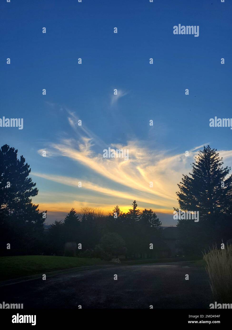 A view of the field on a sunrise Stock Photo - Alamy